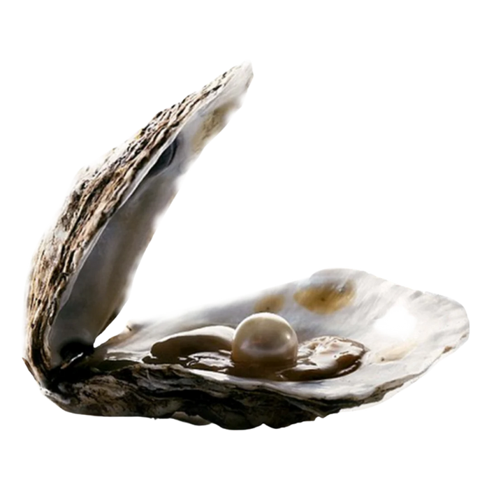 Pearl Bundle Deal-5 Oysters